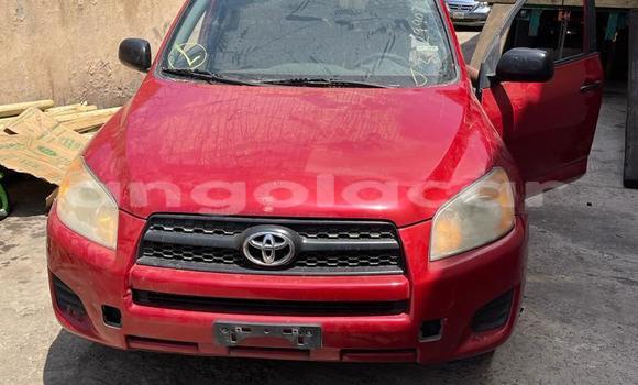 Comprar Usado Toyota RAV4 Vermelho Carro em Luanda em Luanda Province
