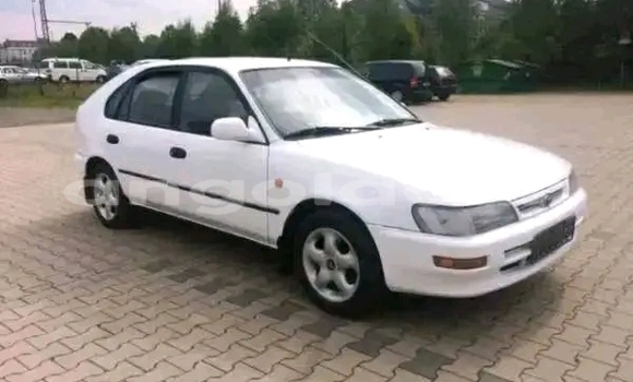 Buy Used Toyota Corolla Other Car in Luanda in Luanda Province Buy Used Toyota Corolla Other Car in Luanda in Luanda Province