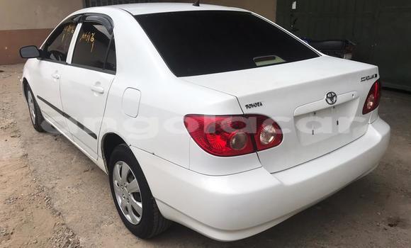 Comprar Usado Toyota Corolla Branco Carro em Luena em Moxico Comprar Usado Toyota Corolla Branco Carro em Luena em Moxico