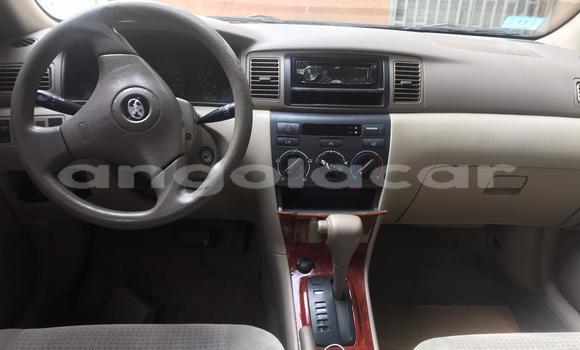Comprar Usado Toyota Corolla Branco Carro em Luena em Moxico Comprar Usado Toyota Corolla Branco Carro em Luena em Moxico
