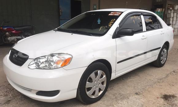 Buy Used Toyota Corolla White Car in Luanda in Luanda Province
