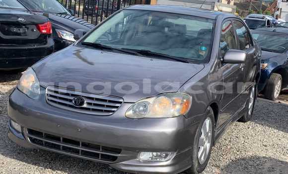 Acheter Occasion Voiture Toyota Corolla Noir à Luena, Moxico Acheter Occasion Voiture Toyota Corolla Noir à Luena, Moxico