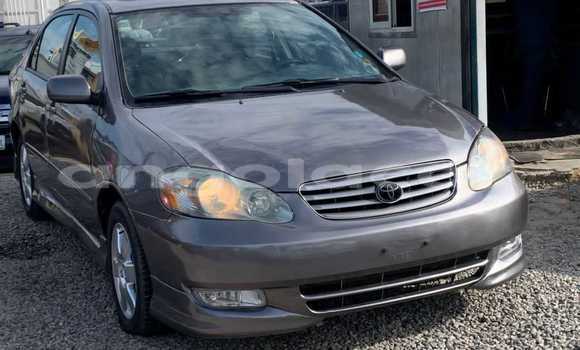 Buy Used Toyota Corolla Black Car in Luena in Moxico Buy Used Toyota Corolla Black Car in Luena in Moxico