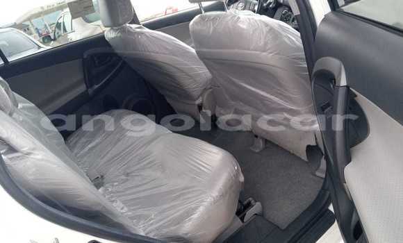 Buy Used Toyota RAV4 White Car in Luanda in Luanda Province Buy Used Toyota RAV4 White Car in Luanda in Luanda Province