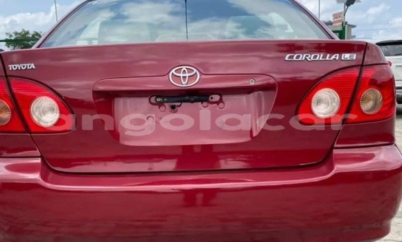 Buy Used Toyota Corolla Red Car in Luanda in Luanda Province Buy Used Toyota Corolla Red Car in Luanda in Luanda Province