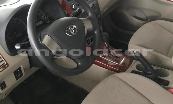 Buy Used Toyota Corolla Silver Car in Luanda in Luanda Province Buy Used Toyota Corolla Silver Car in Luanda in Luanda Province