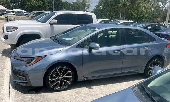 Buy Used Toyota Corolla Blue Car in Luanda in Luanda Province Buy Used Toyota Corolla Blue Car in Luanda in Luanda Province