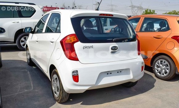 Buy Import Kia Picanto White Car in Import - Dubai in Bengo Province Buy Import Kia Picanto White Car in Import - Dubai in Bengo Province