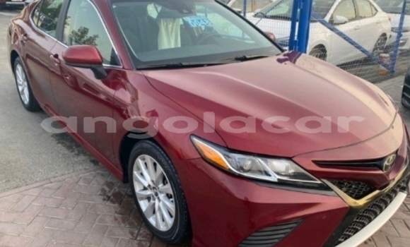 Buy Used Toyota Camry Red Car in Luanda in Luanda Province Buy Used Toyota Camry Red Car in Luanda in Luanda Province
