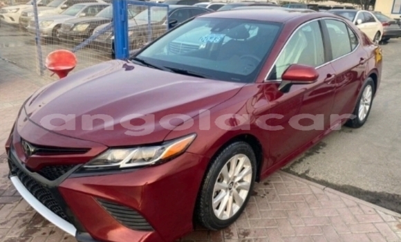 Buy Used Toyota Camry Red Car in Luanda in Luanda Province Buy Used Toyota Camry Red Car in Luanda in Luanda Province