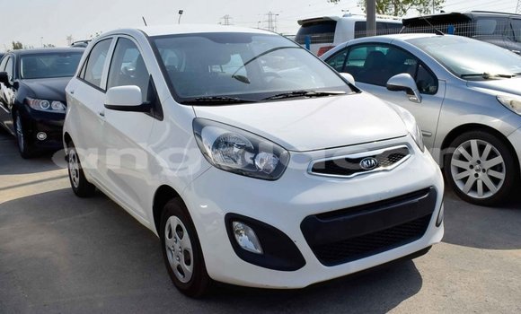 Buy Import Kia Picanto White Car in Import - Dubai in Bengo Province Buy Import Kia Picanto White Car in Import - Dubai in Bengo Province
