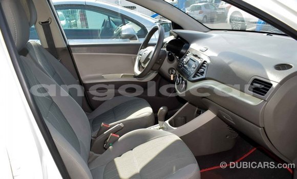 Buy Import Kia Picanto White Car in Import - Dubai in Bengo Province Buy Import Kia Picanto White Car in Import - Dubai in Bengo Province