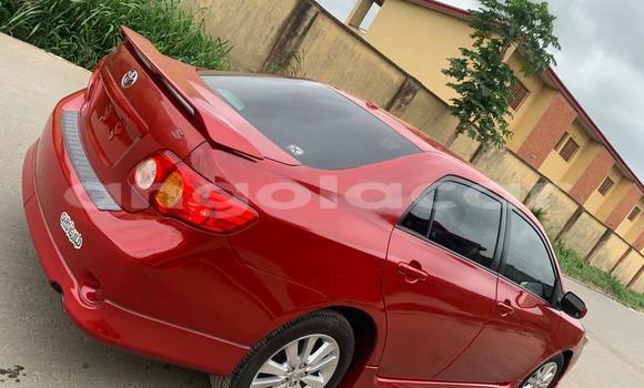 Buy Used Toyota Corolla Red Car in Luanda in Luanda Province Buy Used Toyota Corolla Red Car in Luanda in Luanda Province