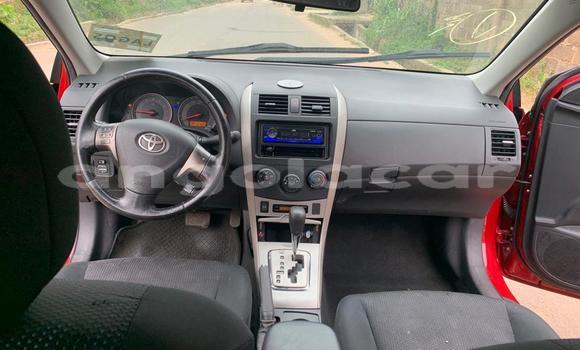 Buy Used Toyota Corolla Red Car in Luanda in Luanda Province Buy Used Toyota Corolla Red Car in Luanda in Luanda Province