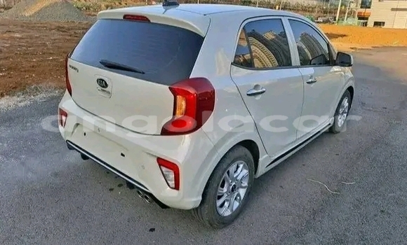 Acheter Occasion Voiture Kia Picanto Autre à Luanda, Province de Luanda Acheter Occasion Voiture Kia Picanto Autre à Luanda, Province de Luanda