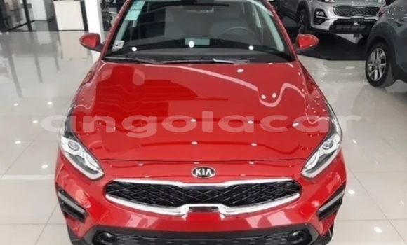 Buy Used Kia Cerato Red Car in Luanda in Luanda Province Buy Used Kia Cerato Red Car in Luanda in Luanda Province