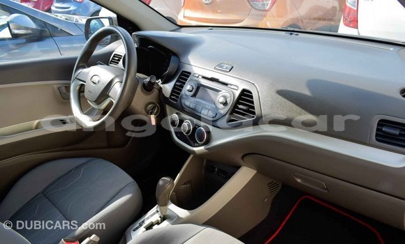 Buy Import Kia Picanto Brown Car in Import - Dubai in Bengo Province Buy Import Kia Picanto Brown Car in Import - Dubai in Bengo Province