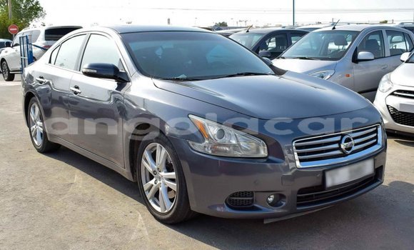 Comprar Importar Nissan Maxima Outro Carro em Import - Dubai em Bengo Province Comprar Importar Nissan Maxima Outro Carro em Import - Dubai em Bengo Province