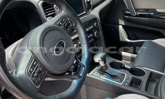 Buy Used Kia Sportage White Car in Luanda in Luanda Province Buy Used Kia Sportage White Car in Luanda in Luanda Province