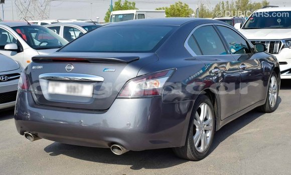 Comprar Importar Nissan Maxima Outro Carro em Import - Dubai em Bengo Province Comprar Importar Nissan Maxima Outro Carro em Import - Dubai em Bengo Province