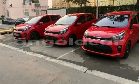 Comprar Usado Kia Picanto Vermelho Carro em Luanda em Luanda Province Comprar Usado Kia Picanto Vermelho Carro em Luanda em Luanda Province