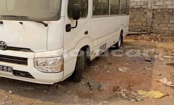 Buy Used Toyota Coaster White Car in Luanda in Luanda Province Buy Used Toyota Coaster White Car in Luanda in Luanda Province