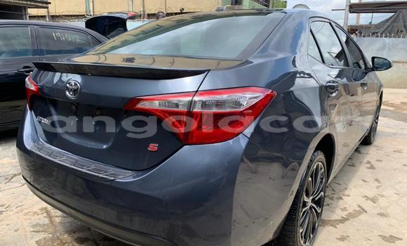 Buy Used Toyota Corolla Blue Car in Luanda in Luanda Province Buy Used Toyota Corolla Blue Car in Luanda in Luanda Province