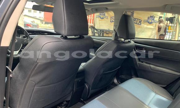 Buy Used Toyota Corolla Blue Car in Luanda in Luanda Province Buy Used Toyota Corolla Blue Car in Luanda in Luanda Province
