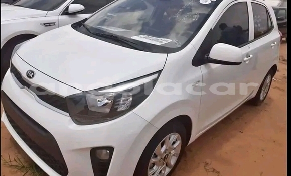 Buy Used Kia Morning White Car in Luanda in Luanda Province