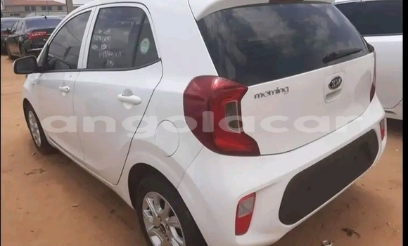 Buy Used Kia Morning White Car in Luanda in Luanda Province Buy Used Kia Morning White Car in Luanda in Luanda Province