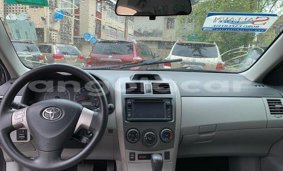 Acheter Occasion Voiture Toyota Corolla Gris à Luanda, Province de Luanda Acheter Occasion Voiture Toyota Corolla Gris à Luanda, Province de Luanda