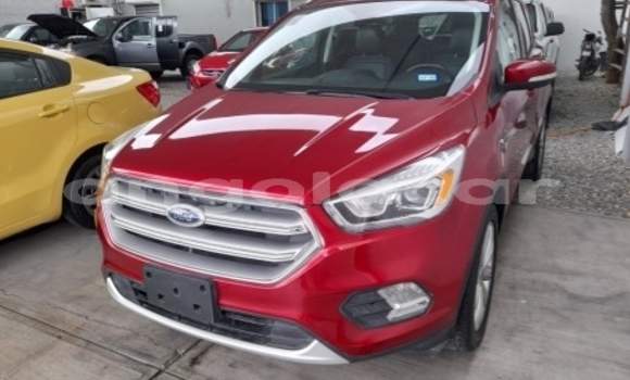 Buy Used Ford Escape Red Car in Luanda in Luanda Province Buy Used Ford Escape Red Car in Luanda in Luanda Province