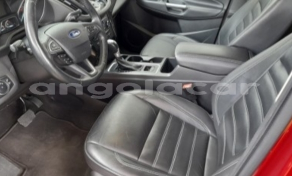 Buy Used Ford Escape Red Car in Luanda in Luanda Province Buy Used Ford Escape Red Car in Luanda in Luanda Province
