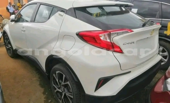 Buy Used Toyota C-HR White Car in Luanda in Luanda Province Buy Used Toyota C-HR White Car in Luanda in Luanda Province
