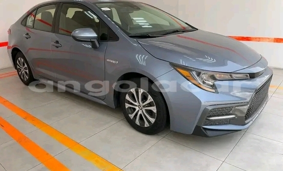 Acheter Occasion Voiture Toyota Corolla Autre à Luanda, Province de Luanda