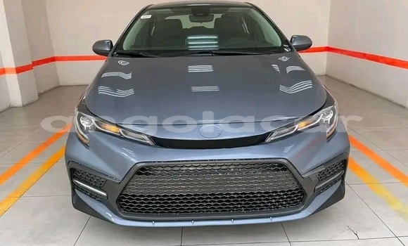Comprar Usado Toyota Corolla Outro Carro em Luanda em Luanda Province Comprar Usado Toyota Corolla Outro Carro em Luanda em Luanda Province