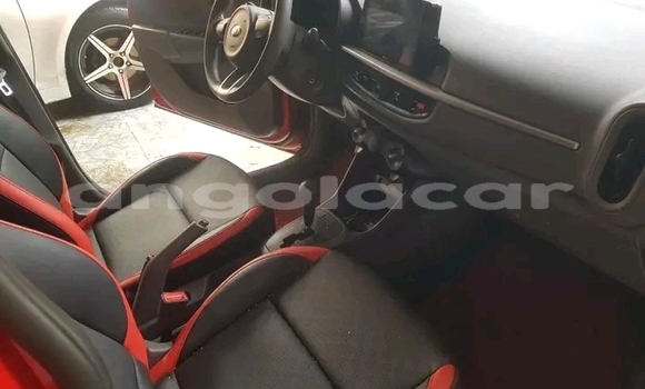Comprar Usado Kia Picanto Vermelho Carro em Luanda em Luanda Province Comprar Usado Kia Picanto Vermelho Carro em Luanda em Luanda Province