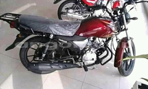 Acheter Neuf Moto Yamaha YZ450F Rouge à Caxito, Bengo