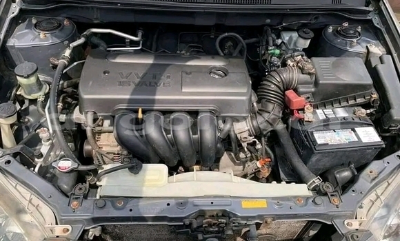 Buy Used Toyota Corolla Black Car in Luanda in Luanda Province Buy Used Toyota Corolla Black Car in Luanda in Luanda Province