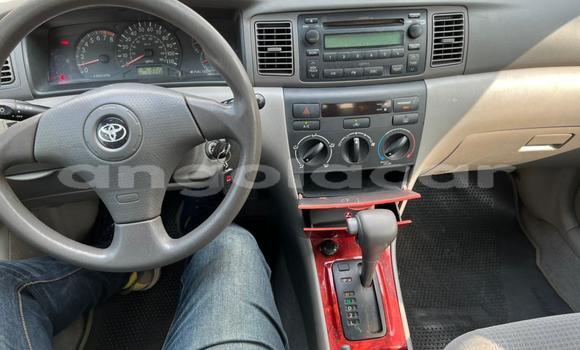 Comprar Usado Toyota Corolla Preto Carro em Luanda em Luanda Province Comprar Usado Toyota Corolla Preto Carro em Luanda em Luanda Province