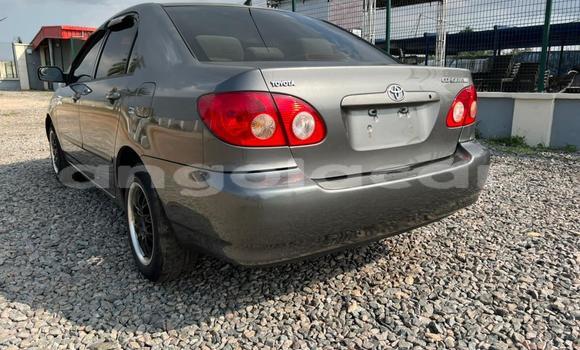 Comprar Usado Toyota Corolla Preto Carro em Luanda em Luanda Province Comprar Usado Toyota Corolla Preto Carro em Luanda em Luanda Province