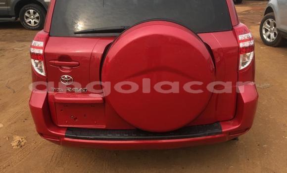 Comprar Usado Toyota RAV4 Vermelho Carro em Luanda em Luanda Province Comprar Usado Toyota RAV4 Vermelho Carro em Luanda em Luanda Province