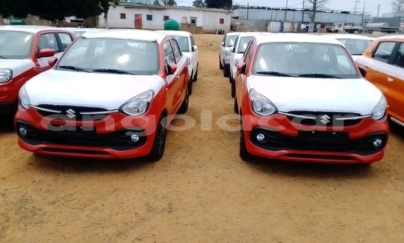 Buy Used Suzuki Celerio Red Car in Luanda in Luanda Province Buy Used Suzuki Celerio Red Car in Luanda in Luanda Province