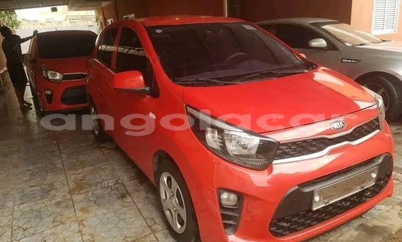 Comprar Usado Kia Picanto Vermelho Carro em Luanda em Luanda Province
