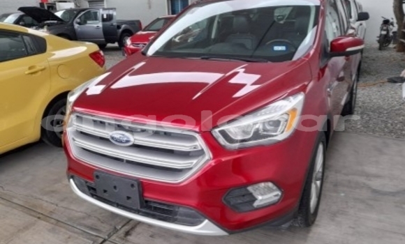 Buy Used Ford Escape Red Car in Luanda in Luanda Province Buy Used Ford Escape Red Car in Luanda in Luanda Province