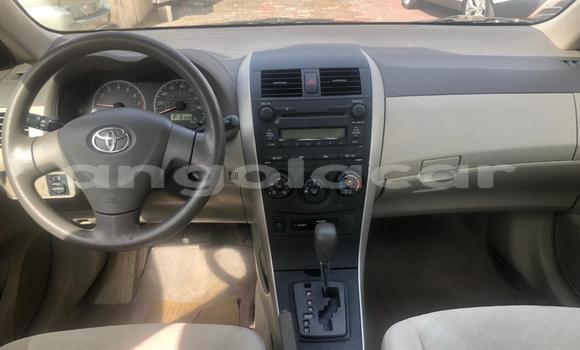 Buy Used Toyota Corolla Other Car in Luanda in Luanda Province Buy Used Toyota Corolla Other Car in Luanda in Luanda Province
