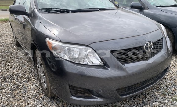 Acheter Occasion Voiture Toyota Corolla Gris à Luanda, Province de Luanda