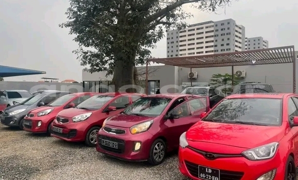 Buy Used Kia Picanto Red Car in Luanda in Luanda Province Buy Used Kia Picanto Red Car in Luanda in Luanda Province