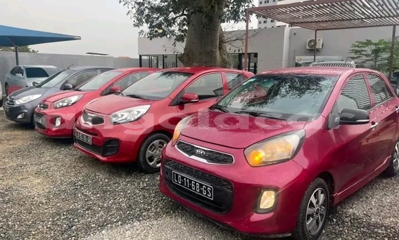 Buy Used Kia Picanto Red Car in Luanda in Luanda Province Buy Used Kia Picanto Red Car in Luanda in Luanda Province