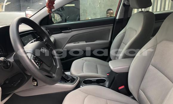 Acheter Occasion Voiture Hyundai Elantra Rouge à Luanda, Province de Luanda Acheter Occasion Voiture Hyundai Elantra Rouge à Luanda, Province de Luanda